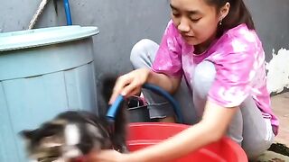 Funny and weird cat during bath