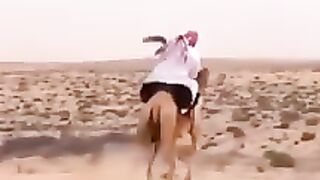 Camale riding