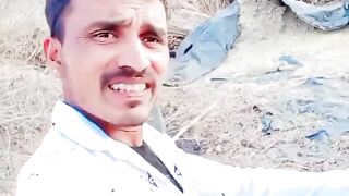 ઉતરાયણ આઈ