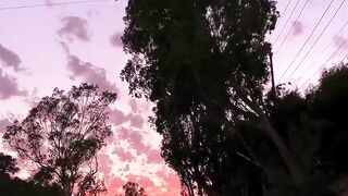 Beautiful view