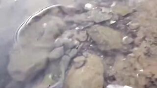 Fishing sea food video enjoy