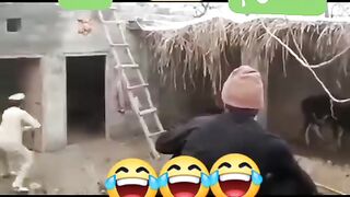 tiktokvideo2023