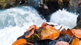 Beautiful River | Amazing view
