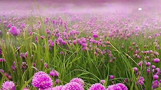 So beutifull