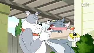 tom and jerry,