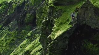 Nature video