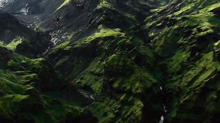 Nature video