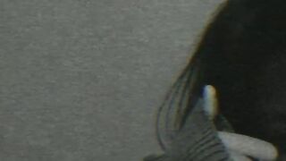 Status video