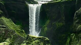 Nature video