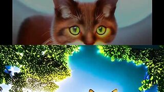 Cat art