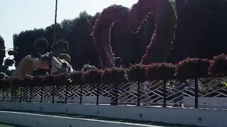 Very nice flower