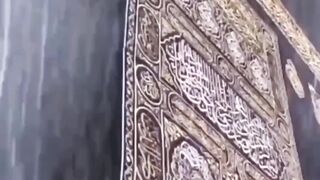 Ulfat e Madina