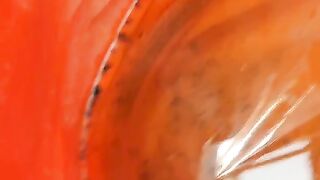 Penampakan larva lele umur 2 hari dari menetas