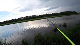 Caught a snake spinning