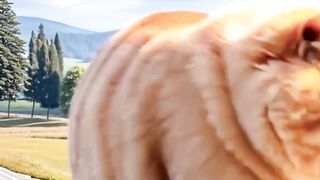 Persahabatan yang Tragis