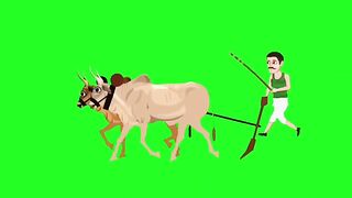 Formal animation video