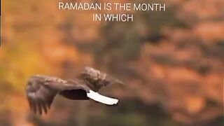 *Ramadan is abt to arrive ✓