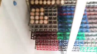 Incubation