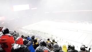 ❄️❄️❄️❄️