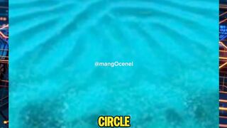 Revealing a corpcircle under the sea