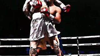 The showman boxer