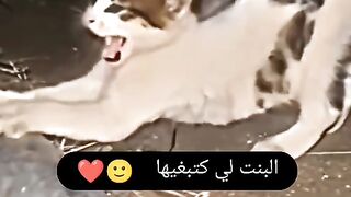 البنت لكتبغي شكون مورها