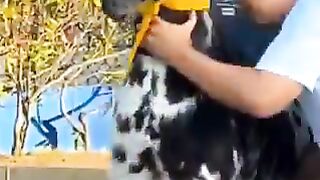 اضحك اضحك