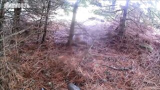 It must be seen! Creepy encounters between a man and a wolf
