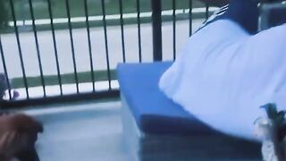 ■■■Funny videos■■■