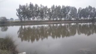 Natural view of my village