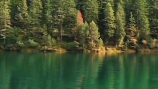 Beautiful nature