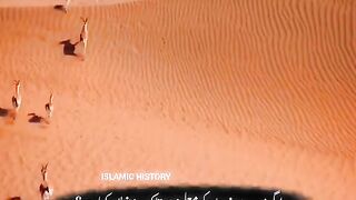 Importance of *Ramzan*