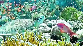 underwater world