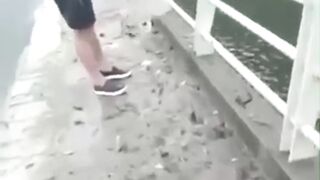 Fisherman SHOCKED by Mysterious Alien-Like Object!