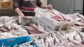 Selling sardines for more than 7 dirhams