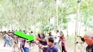 The Most Bizarre Rooster Competition in Thailand!