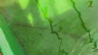 Usahakan ganti air kolam larva lele dipagi hari untuk meminimalisir masalah