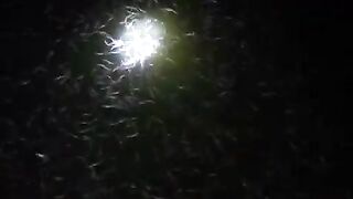 Apakah kalian suka kontrol kolam pada saat malam hari❓