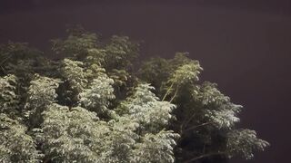 I filmed the clip myself. I want your opinion on the filming and editing.