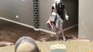 Couple prank☆☆☆ #funny #lol #funnymomend #trendding #short #shortvideos #viral #shorts
