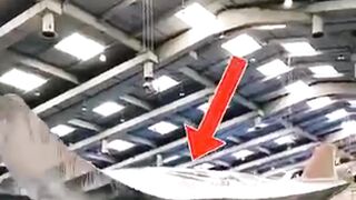 Unbelievable! A Flying Stingray Created for a Movie Stunt!