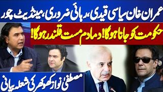Imran Khan's Release Necessary, Shehbaz Govt Will Have to Go