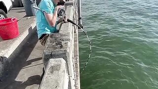 Catching a MONSTER grouper from