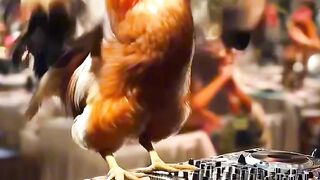 DJ Chicken Viral Tiktok 2025