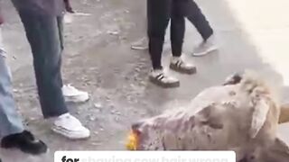 This Is NOT What You Think! China’s Multi-Purpose Invention Will Shock You!