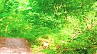 Beautiful nature