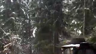 This Machine DESTROYS Everything in Its Path!