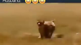 Which engine he use