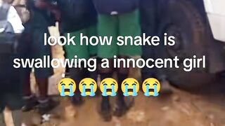 Look how snake