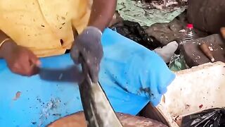 Watch the uncle preparing the fish